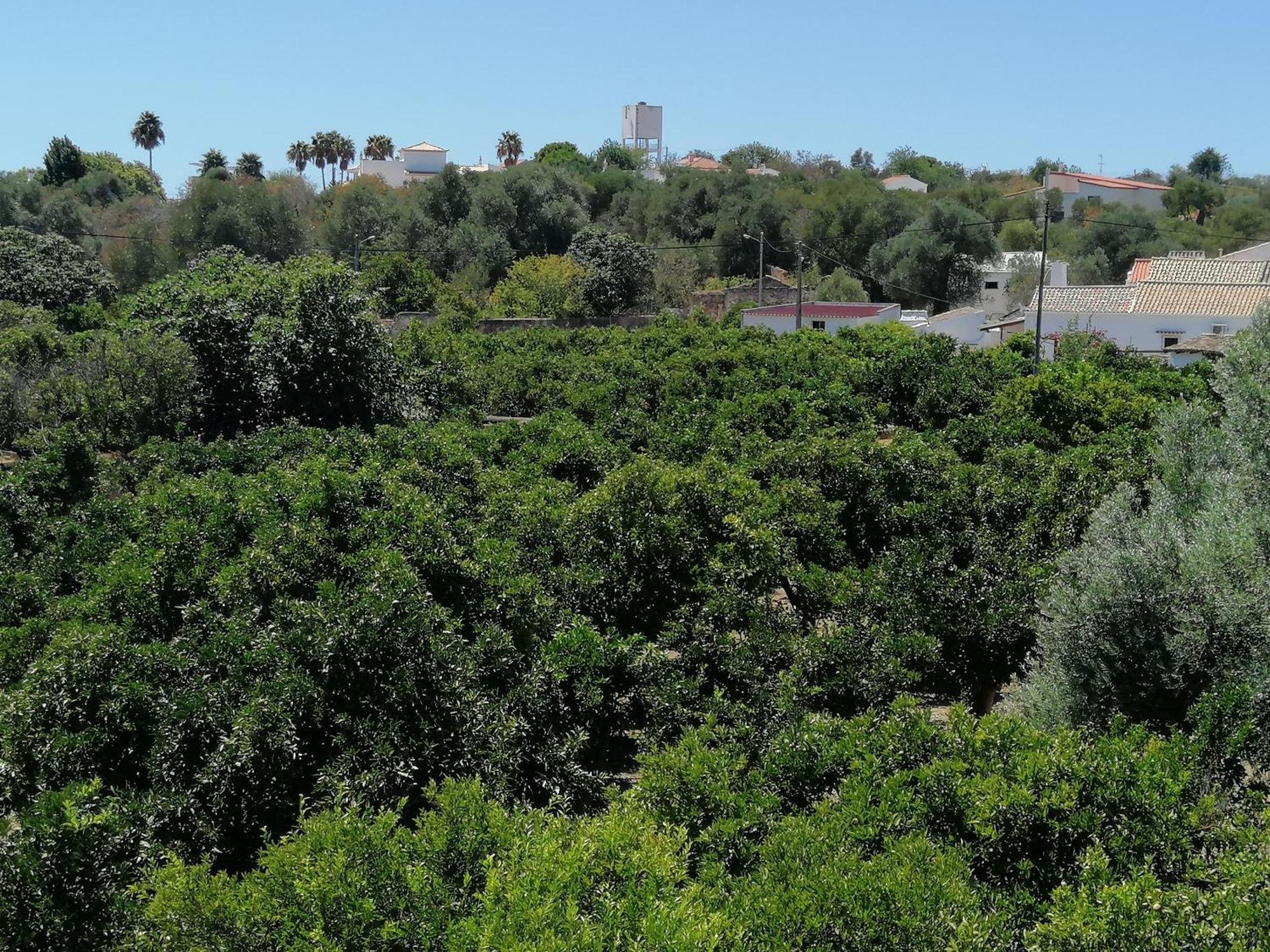 Villa Cerro E Mar Moncarapacho Eksteriør bilde